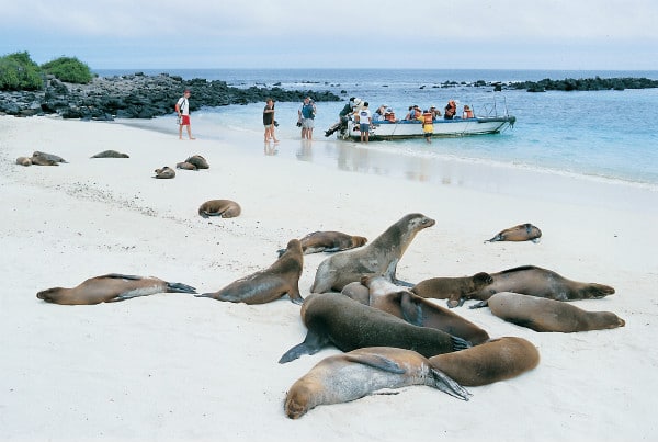 Exploring the Galapagos islands on one of Aurora Expeditions' Ecuador adventures.