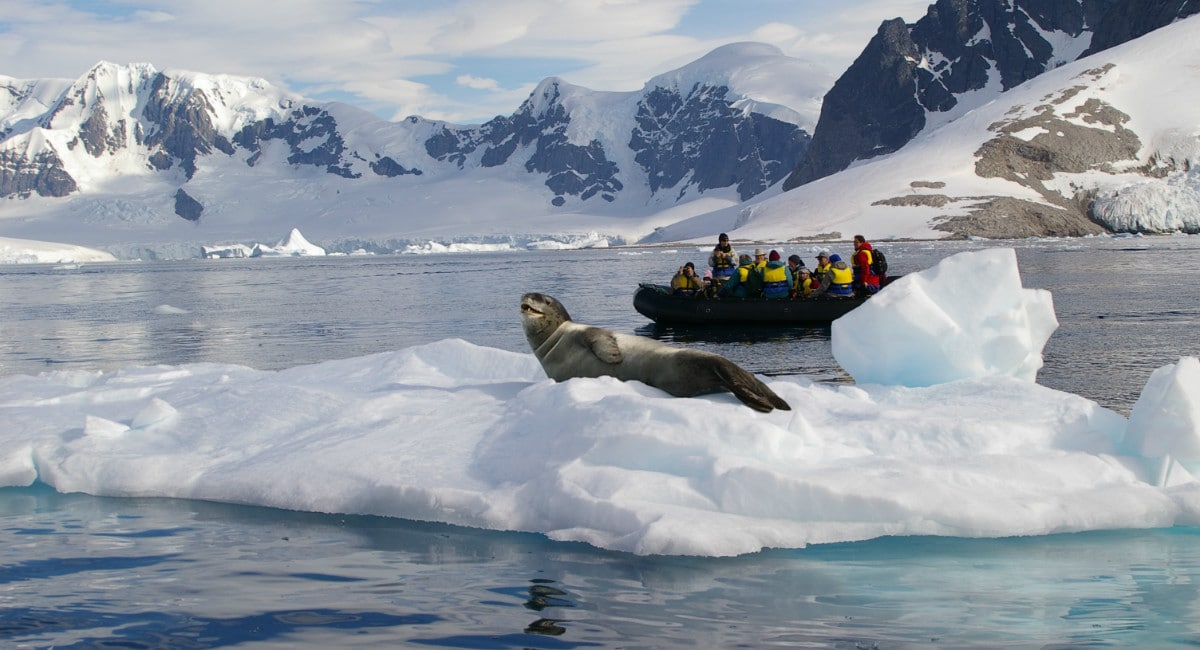 Zodiac cruise in Antarctica