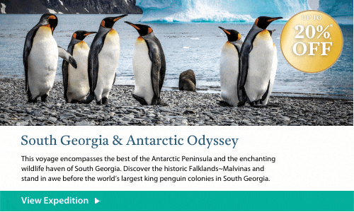 South Georgia & Antarctic Odyssey Tile